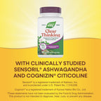 Nature's Way Clear Thinking Cognitivo, Ashwagandha, Reduce el Estrés y Apoya el Rendimiento Cognitivo, 40 Cápsulas