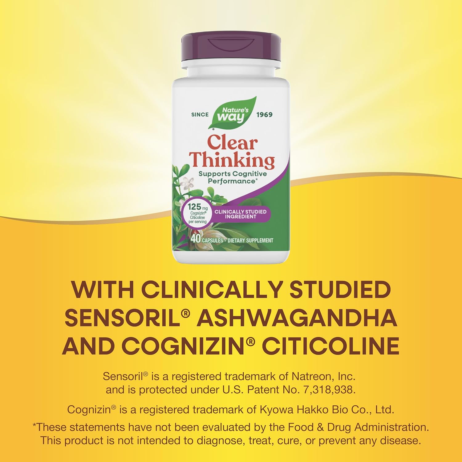 Nature's Way Clear Thinking Cognitivo, Ashwagandha, Reduce el Estrés y Apoya el Rendimiento Cognitivo, 40 Cápsulas