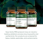 GAIA HERBS PRO Fórmula Cognitiva - Apoyo Cerebral y Circulación Sanguínea - 60 Cápsulas Líquidas