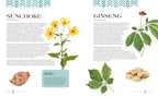 Raíces veneradas: enseñanzas ancestrales y sabiduría de las plantas silvestres, comestibles y medicinales
