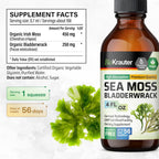 BIO KRAUTER® Gotas de Musgo de Mar y Bladderwrack - Suplemento Vegano de Algas Marinas, 118 ml