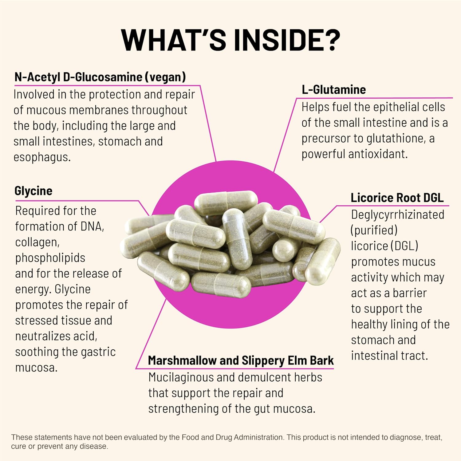 Mountain Peak Nutritionals Acid Assist Formula - Suplemento para el Apoyo Gastrointestinal - 90 Cápsulas Hipoalergénicas