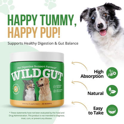 Wild Gut - Probiótico Natural para Perros y Gatos | 8 Cepas Probióticas | 3 Botes – Image 2