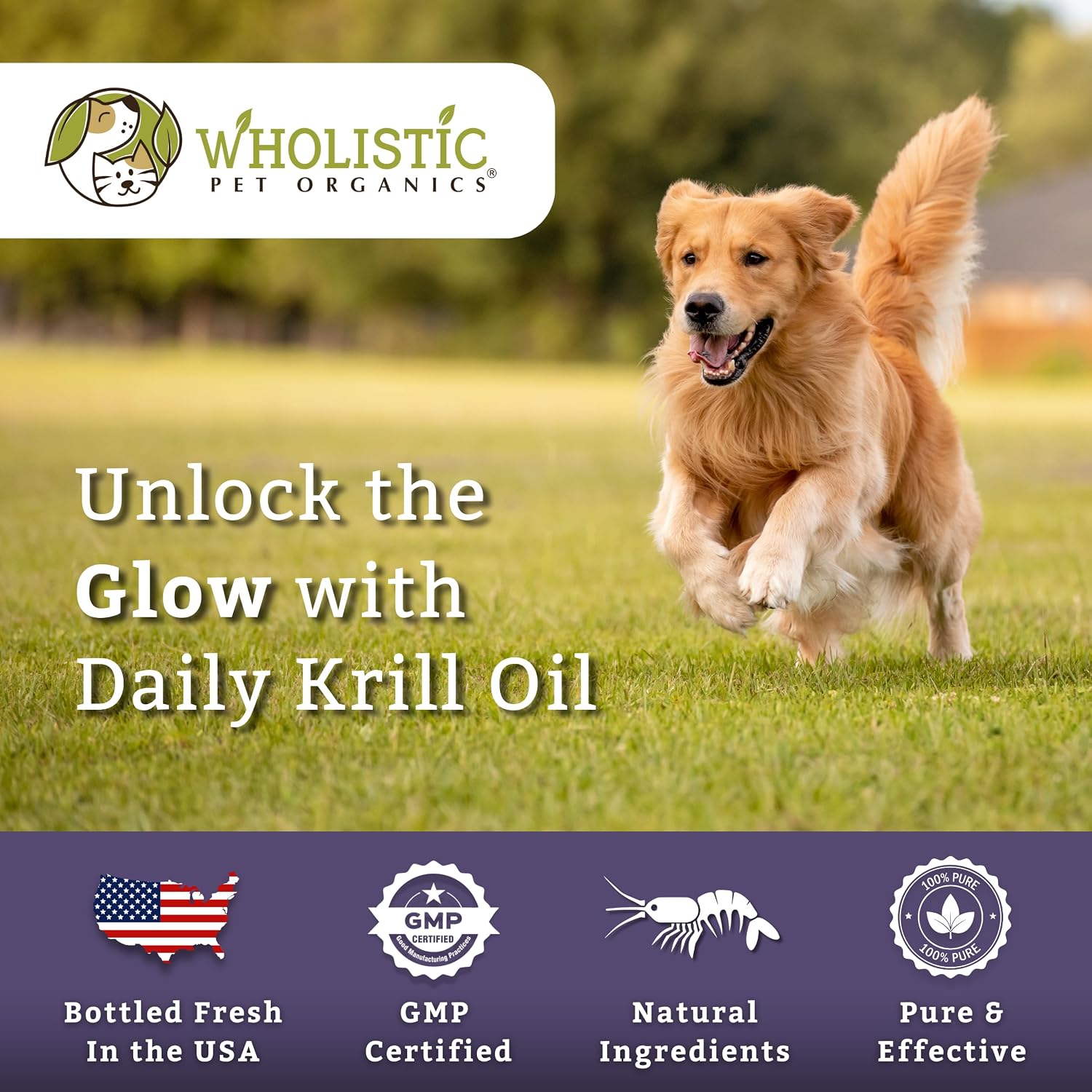 Wholistic Pet Organics Aceite de Krill para Perros y Gatos - Suplemento Antioxidante Premium - Apoyo para Piel y Pelaje con EPA, DHA, Astaxantina - Omega 3 para Perros y Gatos - 200 Cápsulas blandas