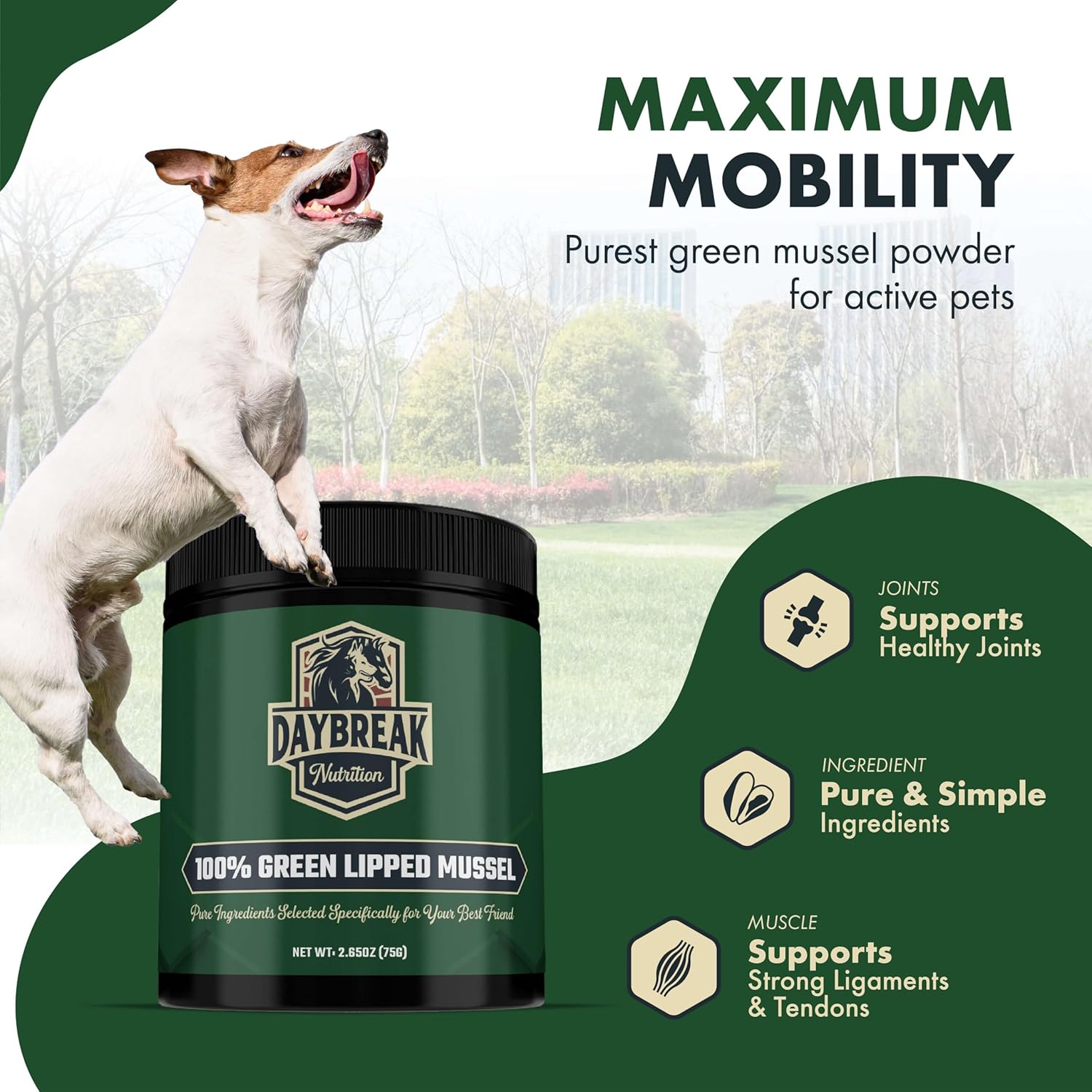 Daybreak Nutrition Polvo de Mejillón de Labio Verde Puro para Perros y Gatos - 150g
