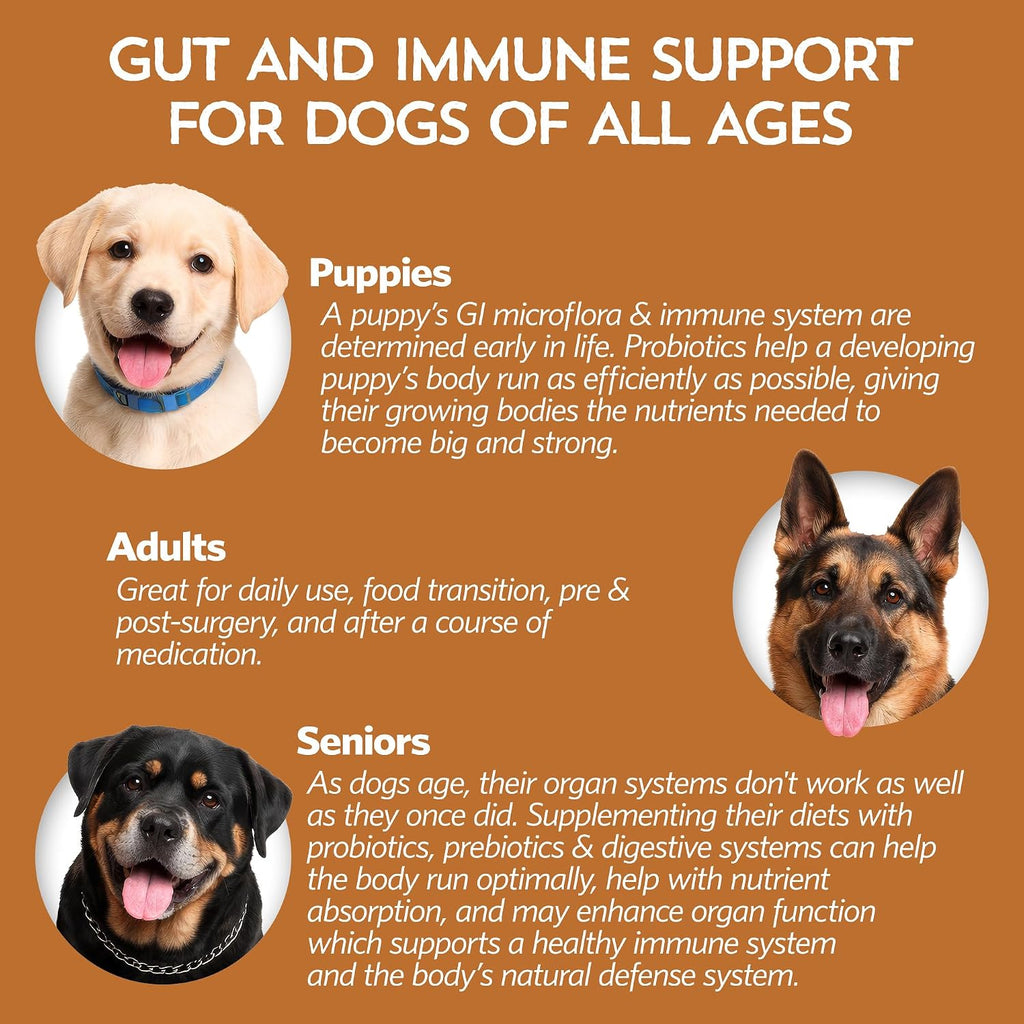 Good Guts Probióticos para Perros Pequeños – Polvo Digestivo con 3B UFC, Enzimas y Prebióticos
