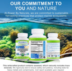 Power By Naturals Sea Moss Plus – Cápsulas Orgánicas de Musgo de Mar Irlandés con Bladderwrack y Raíz de Bardana – 120 Cápsulas (Suministro para 2 Meses)