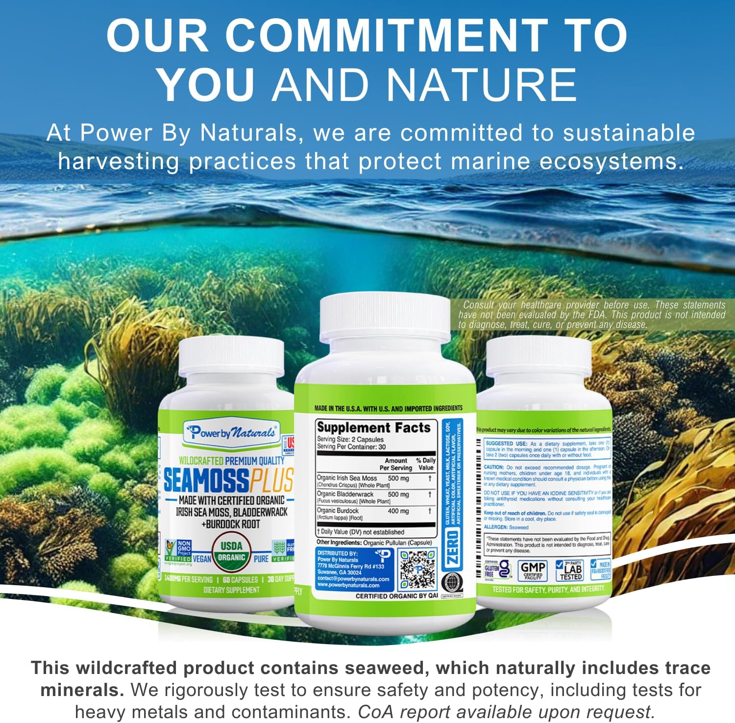 Power By Naturals Sea Moss Plus – Cápsulas Orgánicas de Musgo de Mar Irlandés con Bladderwrack y Raíz de Bardana – 120 Cápsulas (Suministro para 2 Meses)