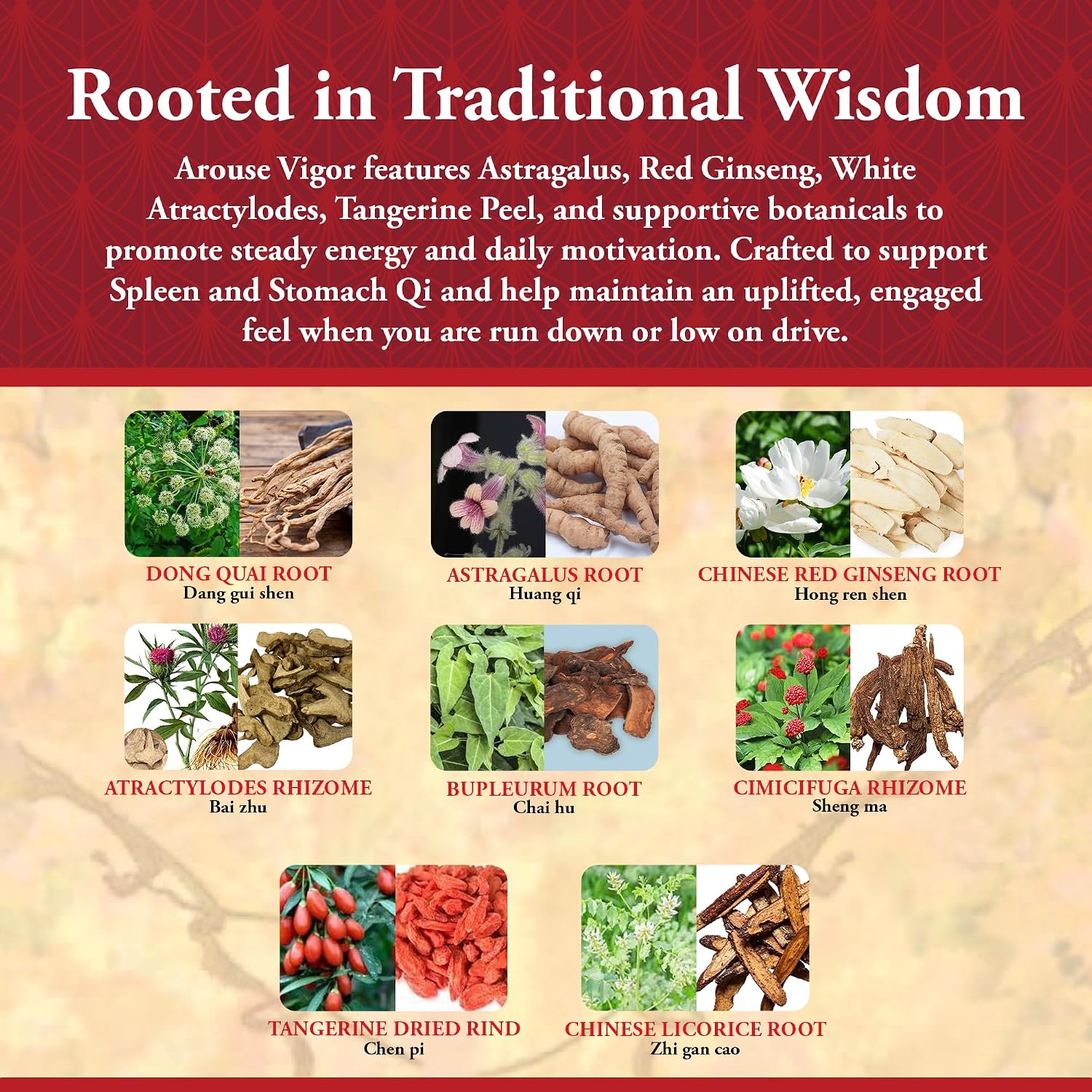 Kan Herb Company Arouse Vigor – Fórmula herbal tradicional con astrágalo, ginseng, atractilodes y cáscara de mandarina – 120 comprimidos