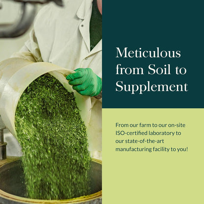 Gaia Herbs Nootropic Focus - Suplemento de – Melisa (Melissa officinalis): Conocida por su aroma cítrico y suave, – Image 8