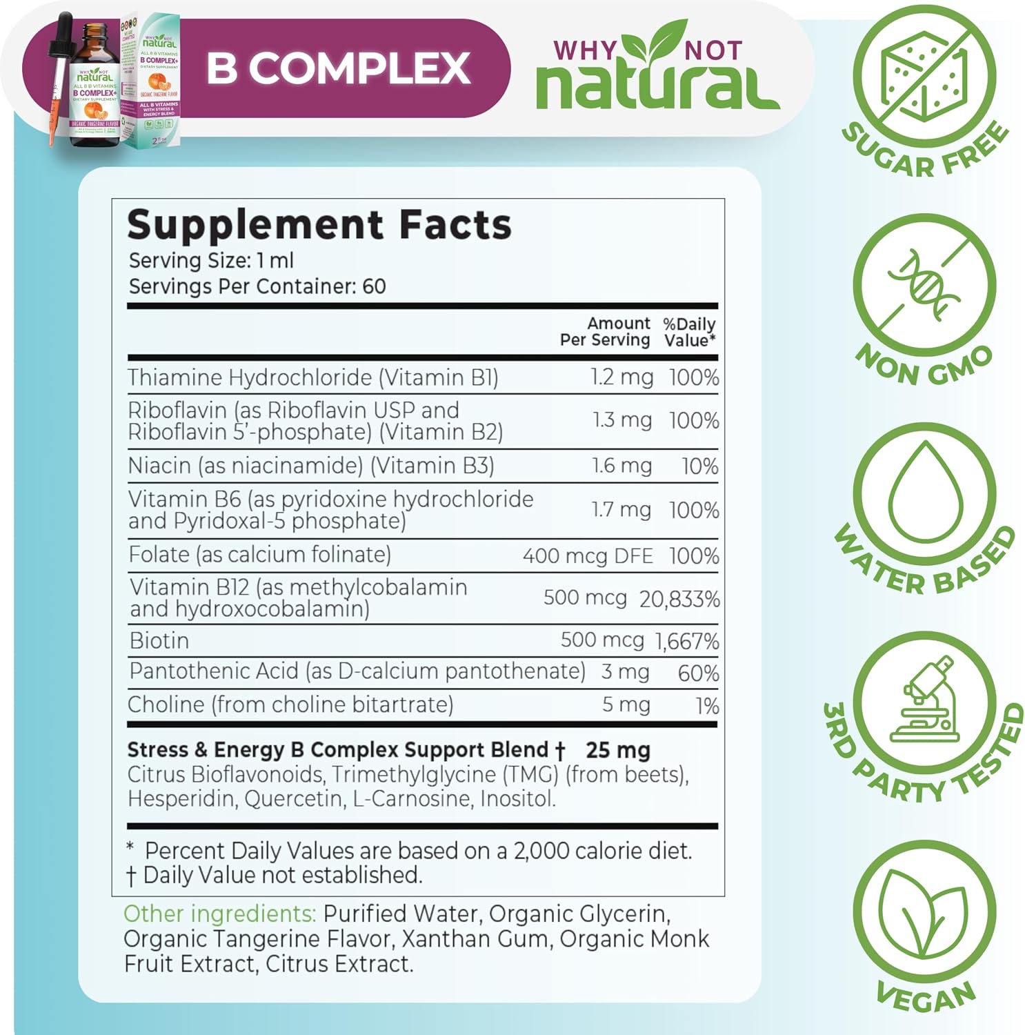 Why Not Natural Complejo B Líquido - Gotas Sublinguales Veganas con Vitaminas B y Colina