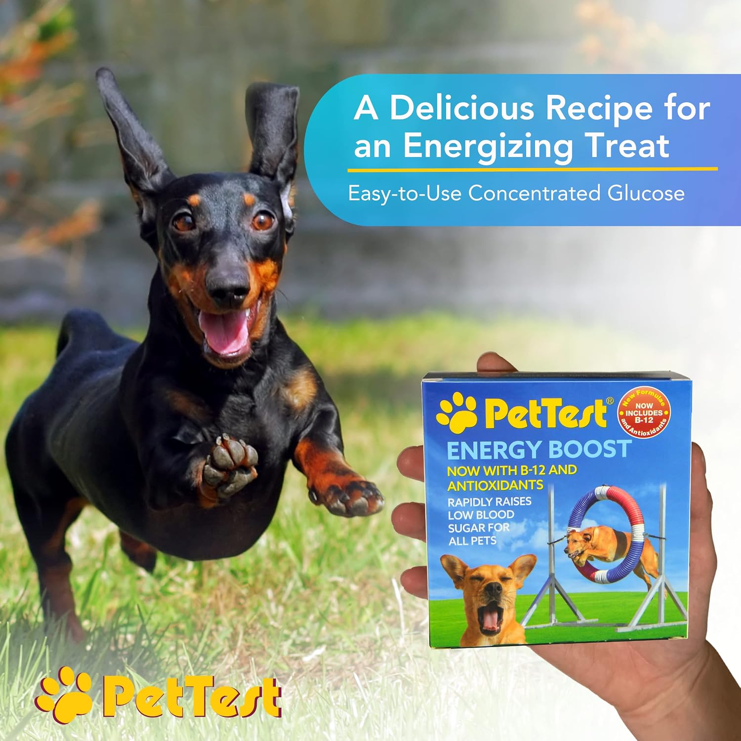 PetTest Energy Boost Glucosa SOS 3x10ml con B12 y Antioxidantes para Perros y Gatos