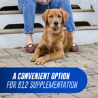 Nutramax Cobalequin B12 para perros - Suplemento de cobalamina con folato - para perros de más de 10 kg - Comprimidos masticables - 45 unidades
