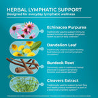 PureHealth Research Lymph System Support - 360 Cápsulas