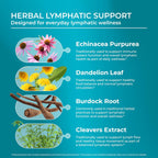 PUREHEALTH RESEARCH Lymph System Support - Suplemento de Drenaje Linfático para Mujeres y Hombres - 180 Cápsulas