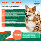 Beloved Pets Suplemento Herbal Natural para Perros y Gatos - Apoyo Urinario, Respiratorio e Inmunológico