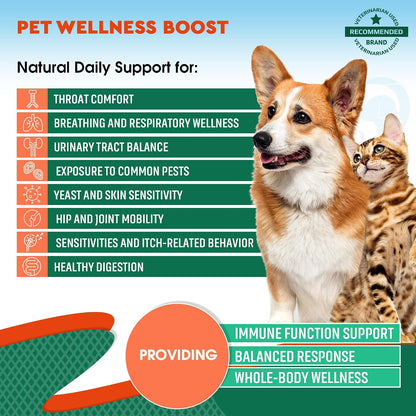 Beloved Pets Suplemento Herbal Natural para – Orégano: Rico en compuestos fenólicos, favorece la salud intestinal – Image 2