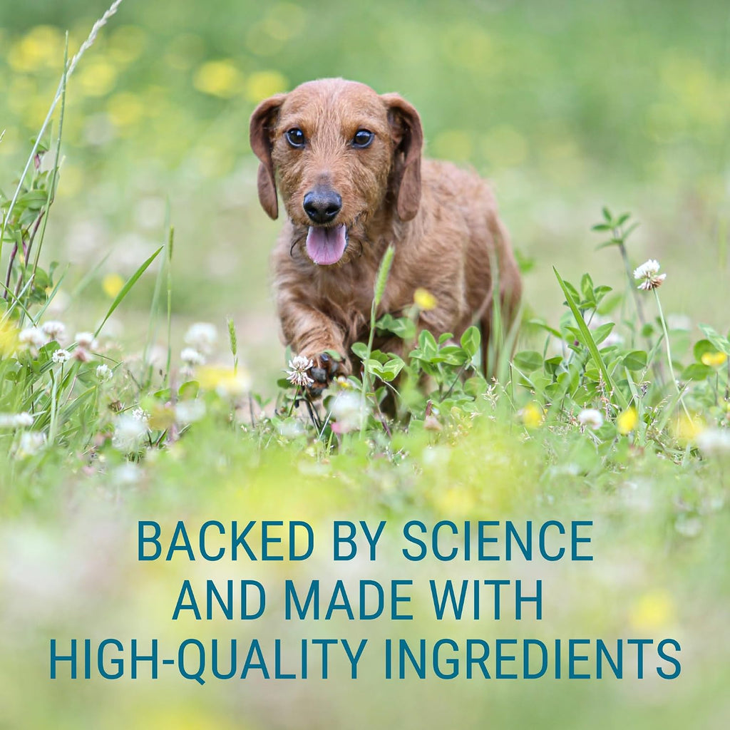 Denosyl for Medium Dogs - Supplement with S-adenosylmethionine (SAMe) - 30 Tablets