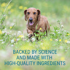Denosyl for Medium Dogs - Supplement with S-adenosylmethionine (SAMe) - 30 Tablets
