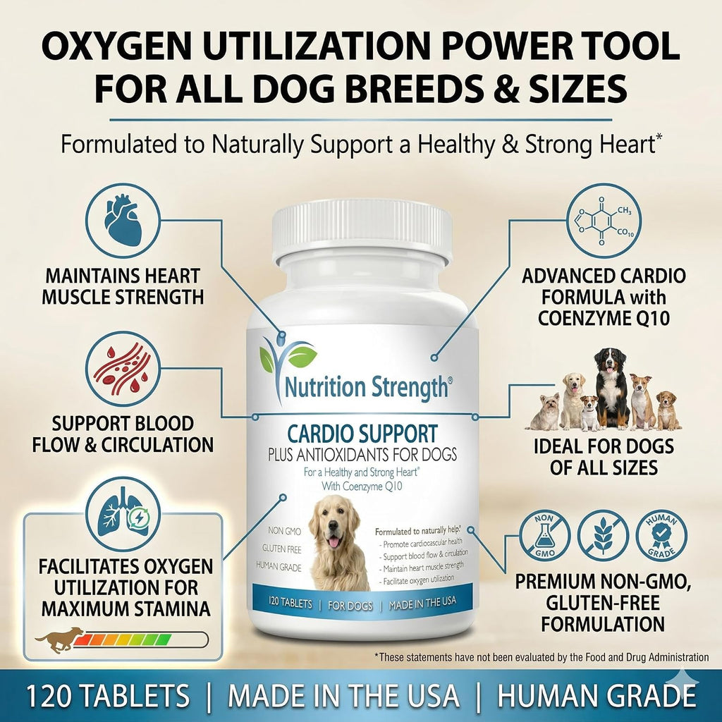 Nutrition Strength Cardio Support for Dogs with Antioxidants, L-Carnitine, L-Taurine, Coenzyme Q10 and Vitamin E, 120 Chewable Tablets