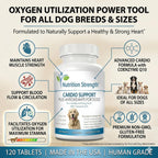 Nutrition Strength Cardio Support for Dogs with Antioxidants, L-Carnitine, L-Taurine, Coenzyme Q10 and Vitamin E, 120 Chewable Tablets