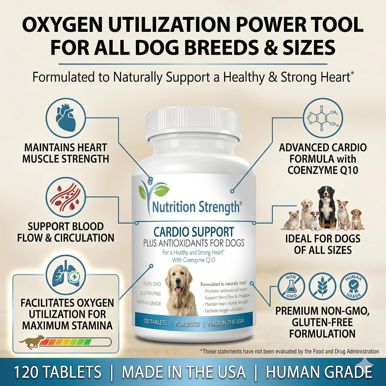 Nutrition Strength Cardio Support for Dogs with Antioxidants, L-Carnitine, L-Taurine, Coenzyme Q10 and Vitamin E, 120 Chewable Tablets
