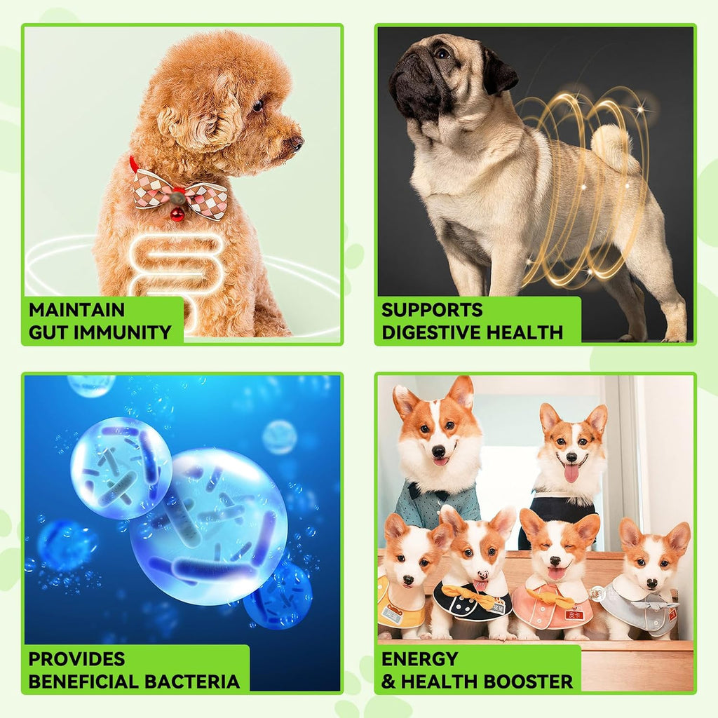 Probiótico Líquido para Perros 3 en 1 - 60 ml | Salud Digestiva e Inmunidad