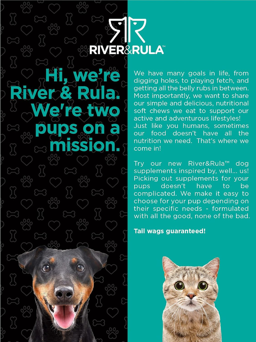 Horbaach Probióticos para Perros y Gatos | 120 Comprimidos Masticables | Salud Digestiva | 14 Cepas Probióticas | Sabor a Ternera | River & RULA