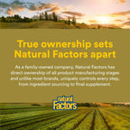 Natural Factors Quercetin LipoMicel Matrix - 30 Cápsulas Blandas