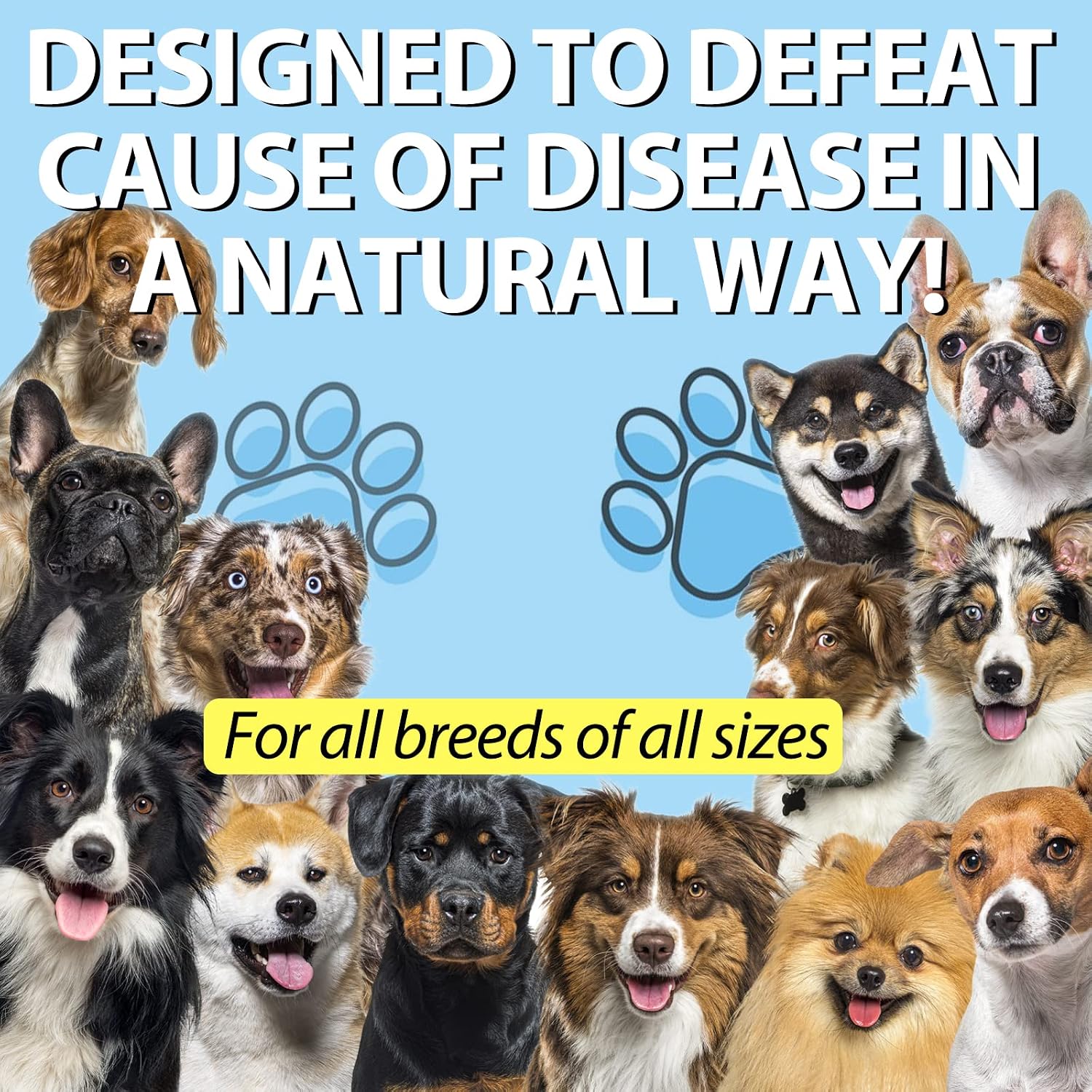 Kennel Cough for Dogs - Suplemento Natural para la Tos en Perros (2 x 60 ml)