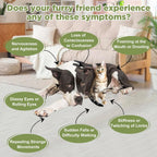 Suplemento para Epilepsia y Sistema Nervioso para Perros y Gatos - Ourea