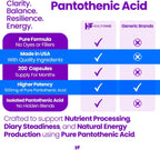Healthfare Ácido Pantoténico 500mg Vitamina B5 | 200 Cápsulas Veganas