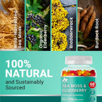 BIO VITALICA Irish Sea Moss Gummies con Elderberry – Gominolas Veganas con Vitamina C, D y Zinc – 6 Paquetes