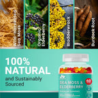 BIO VITALICA Gominolas de Irish Sea Moss y Elderberry - Veganas con Vitamina C, D y Zinc - 4 Paquetes