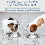Rx Vitamins Apoyo Nutricional - Combinación de Vitaminas, Minerales y Compuestos Esenciales para Perros y Gatos - 257g