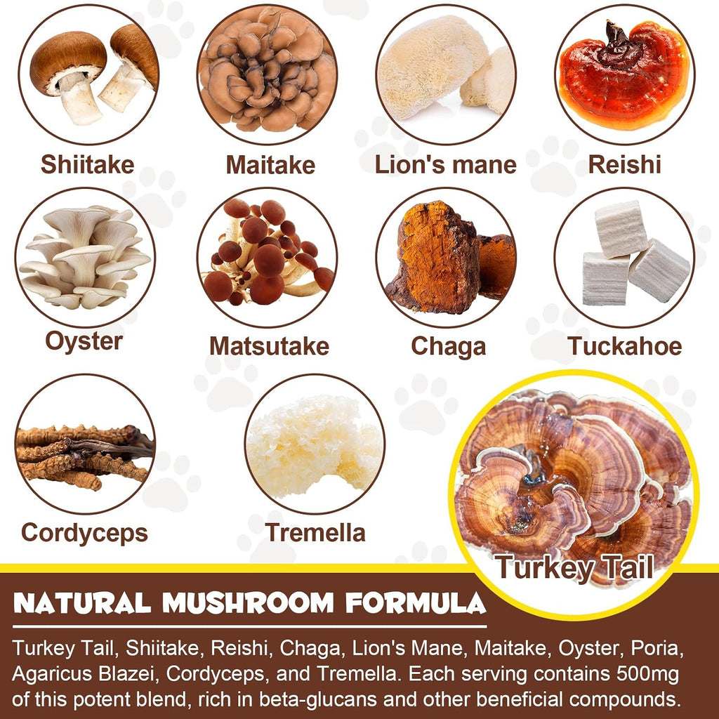 Wild Mushroom Superblend para Bultos y Protuberancias, 125 ml