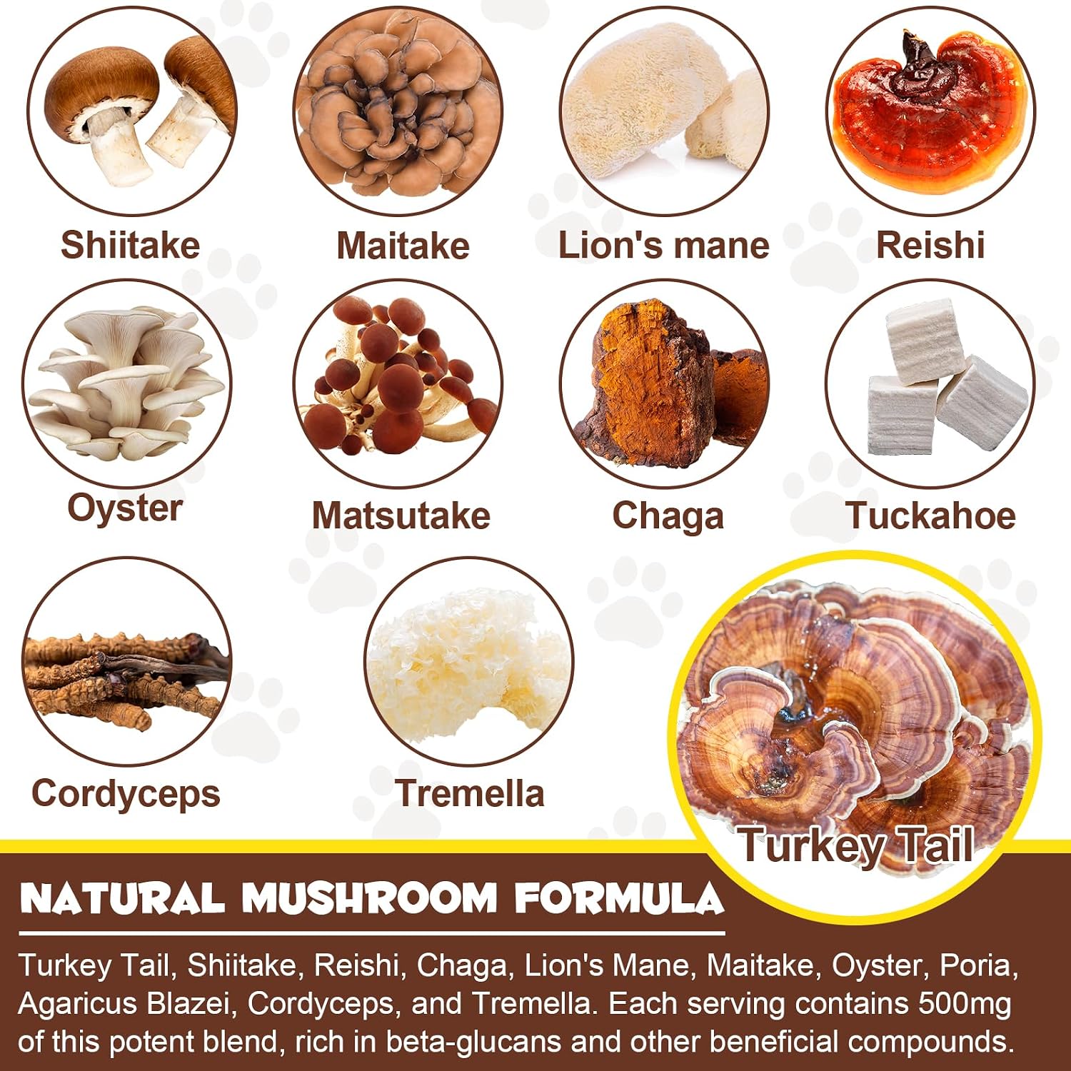 Wild Mushroom Superblend para Bultos y Protuberancias, 125 ml