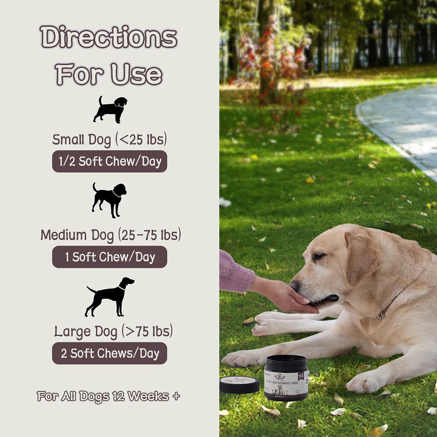 Best Buddy Multivitamin 15-en-1 Snacks para Perros y Gatos, Suplemento Completo para la Salud con Apoyo Articular + Enzimas Digestivas, Vitaminas y Suplementos para Perros sin Cereales para Piel y Pelaje (Tocino/Cerdo, 225g)