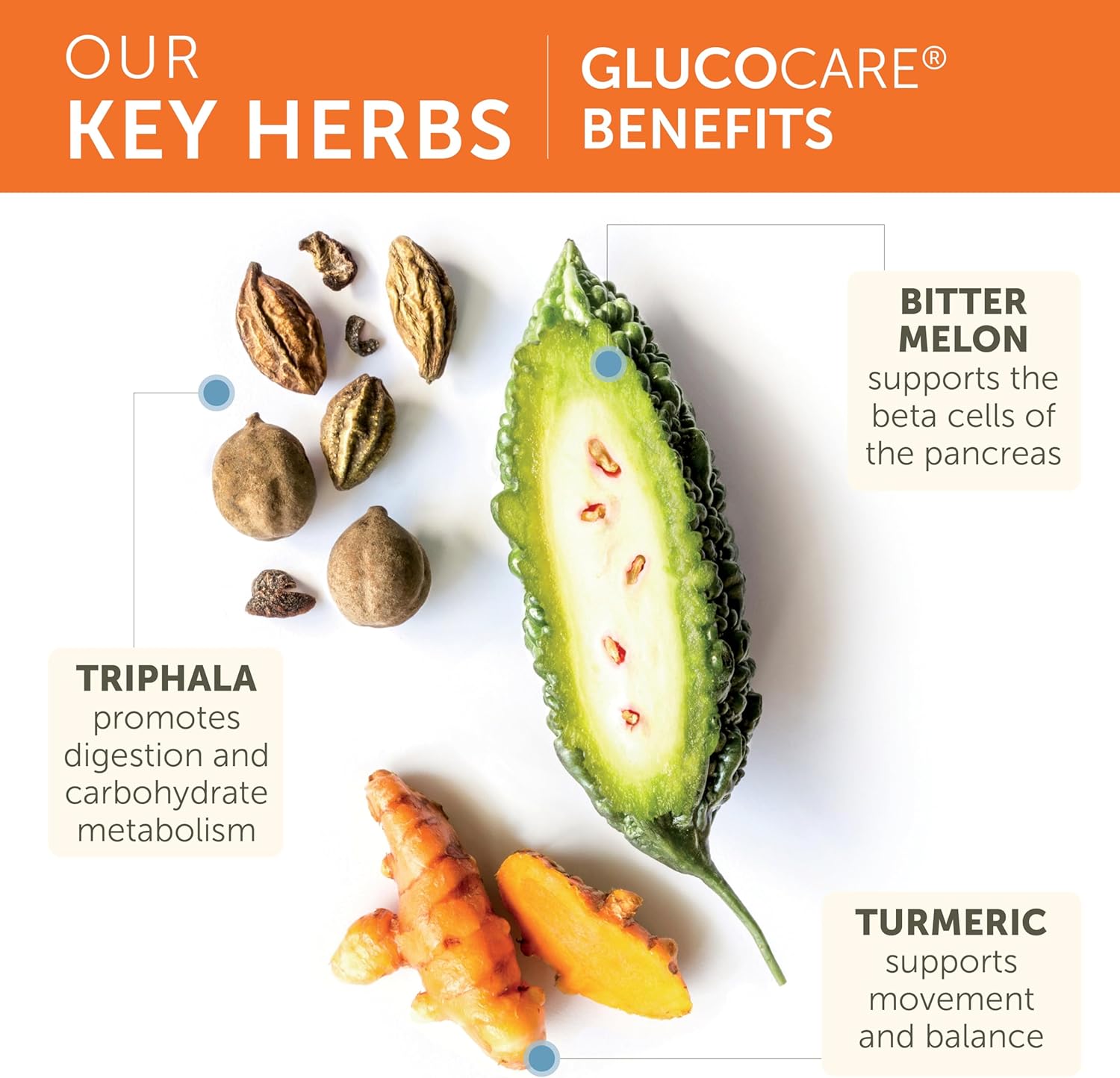 Himalaya GlucoCare – 90 Cápsulas – Apoyo al Metabolismo de la Glucosa