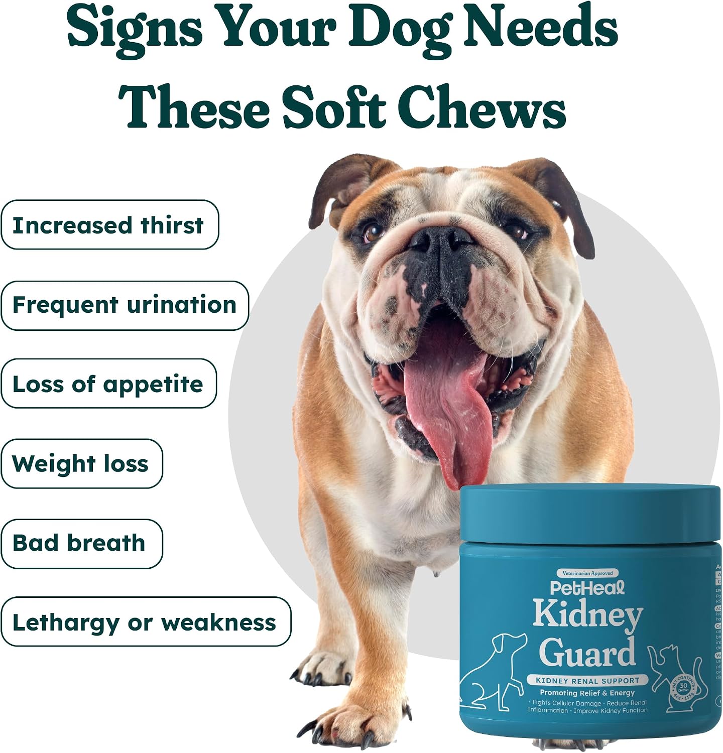 PetHeal Kidney Guard Chews para Perros - Apoyo Renal - 30 Snacks Blandos Sabor Cerdo