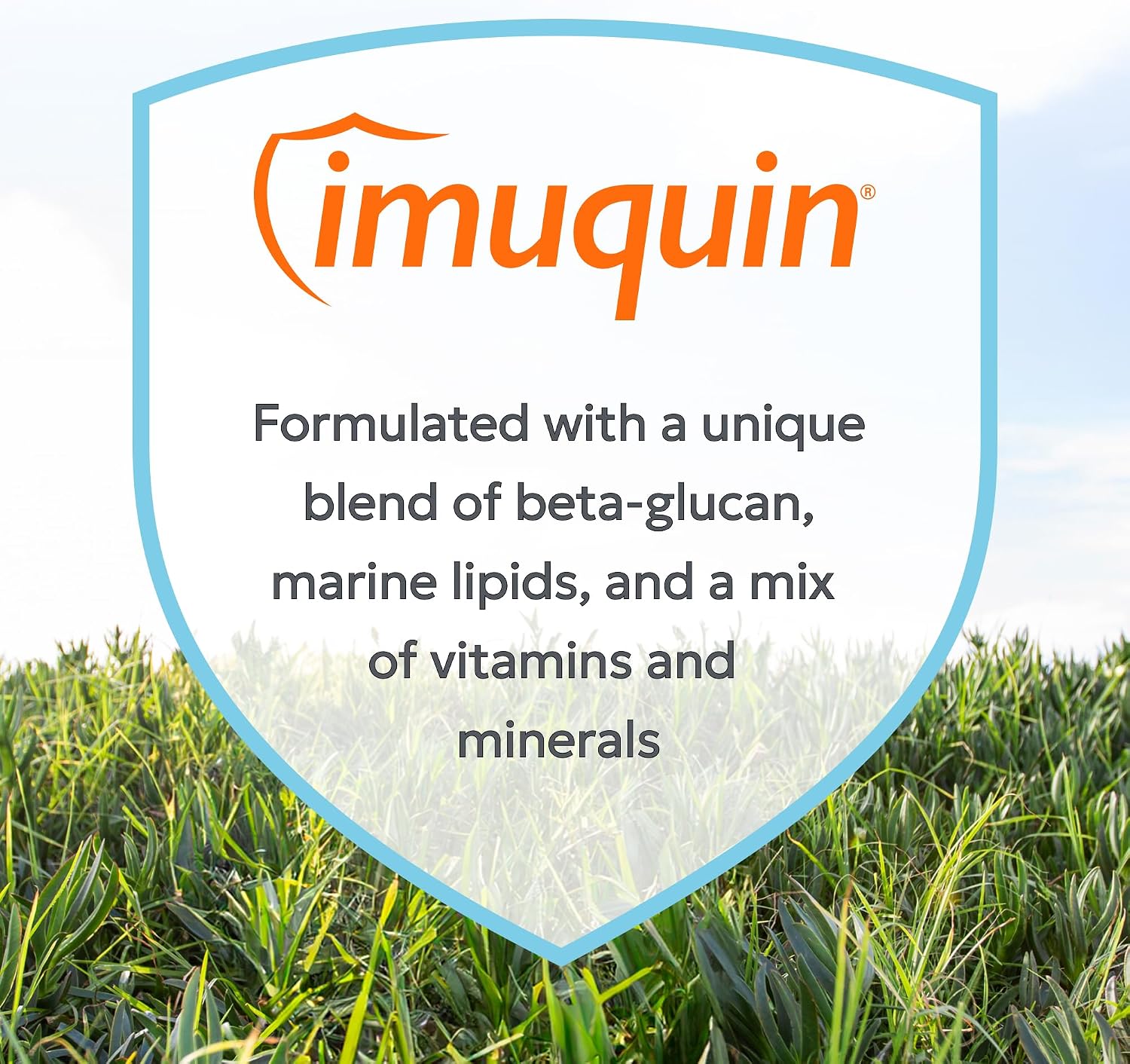 Nutramax Imuquin Suplemento de Apoyo Inmunitario en Polvo para Perros, con Beta Glucanos, Lípidos Marinos, Vitaminas y Minerales, 30 Sobres