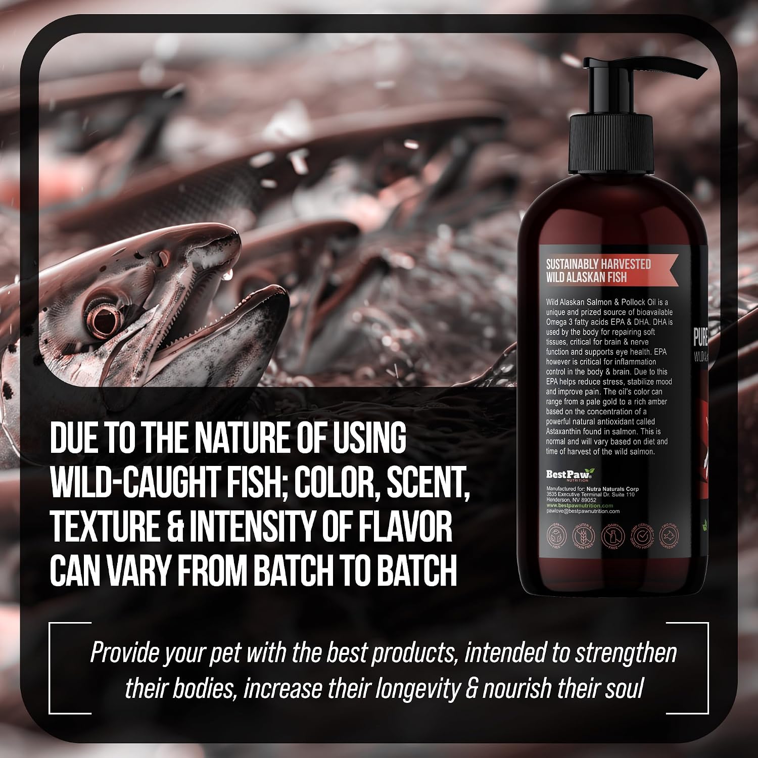 Wild Alaskan Salmon Oil for Dogs - Aceite de Salmón Salvaje de Alaska con Omega 3, EPA y DHA, 473 ml (16 oz)
