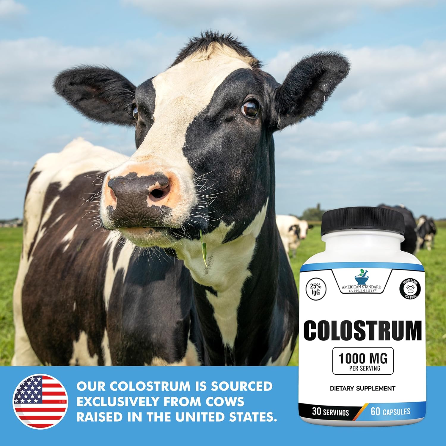 American Standard Supplements Calostro Bovino en Cápsulas - 1000mg por Dosis, 60 Cápsulas, Estandarizado al 25% de Inmunoglobulinas (IgG)