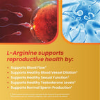 Motility Max – Apoya la motilidad espermática y la salud reproductiva, con L-Arginina, L-Carnitina y nutrientes esenciales, 60 cápsulas