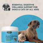 Animal Essentials Plant Enzyme & Probiotics - Probióticos y Enzimas Digestivas para Perros y Gatos