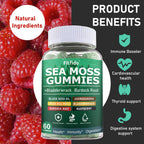 Fitfido Gominolas de Musgo de Mar Irlandés 3000mg con Bladderwrack, 60 unidades