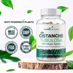 Cistanche Tubulosa con Fadogia Agrestis - Promueve la Vitalidad - Suplementos Naturales para Hombres y Mujeres con Bioperina de Powered X Plants, 90 Porciones