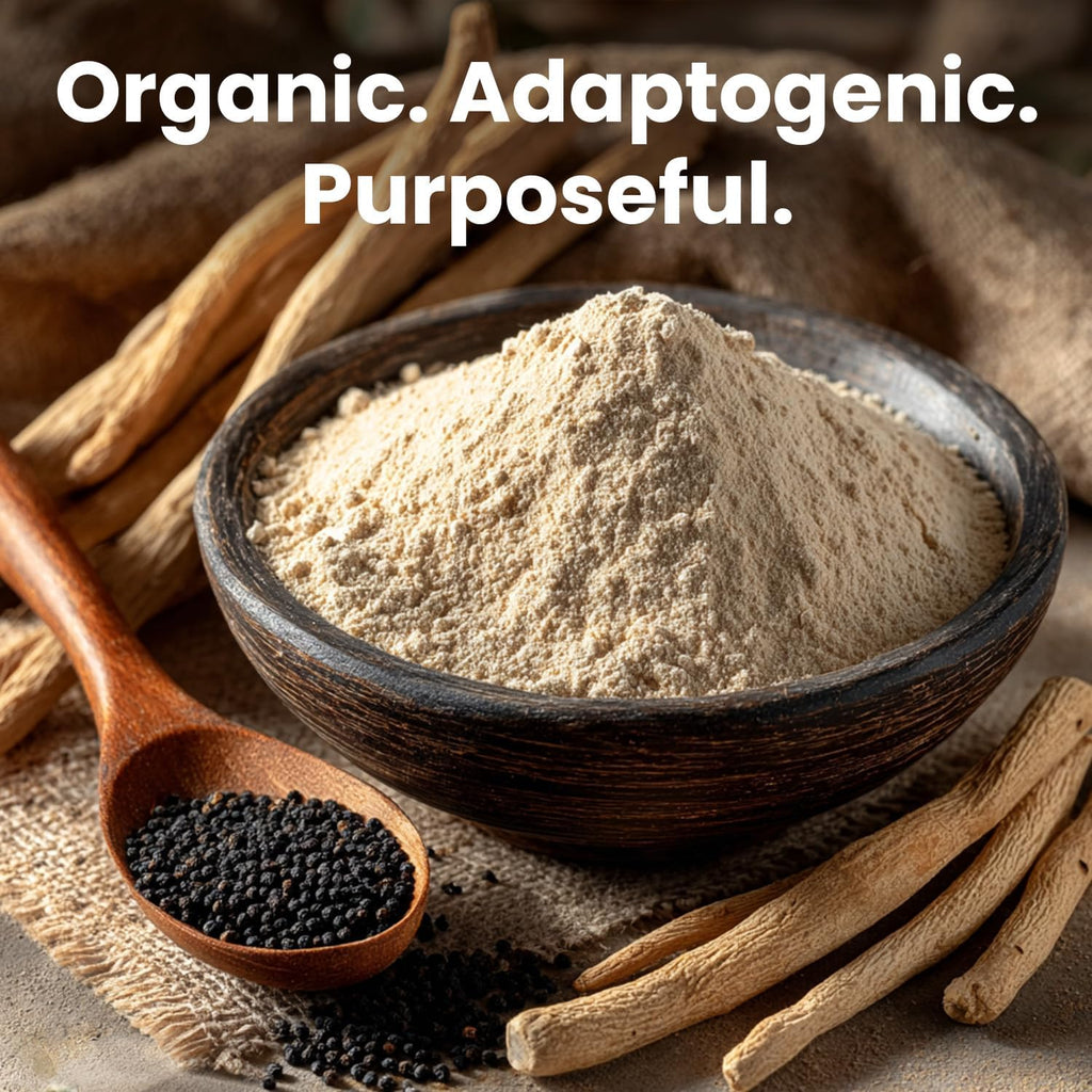 PrimeMD 6 en 1 Maca orgánica, Ashwagandha y DHEA en cápsulas 1710 mg con extracto de pimienta negra - Suplemento de maca negra para hombres y mujeres, 120 cápsulas (Pack de 3)