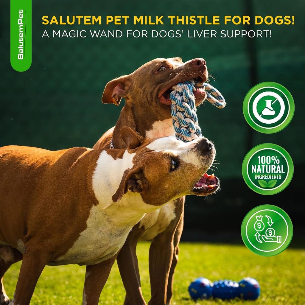 Cardo Mariano para Perros - Suplemento Hepático Natural - Sabor Bacon - 60 ml
