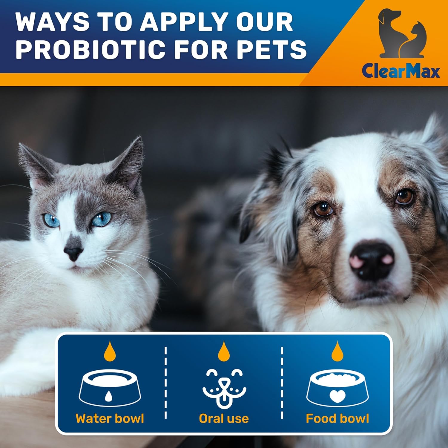 Probióticos Líquidos para Perros y Gatos – 6 Mil Millones de UFC – Con Enzimas Digestivas – 2 oz